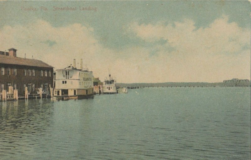 PALATKA Florida 1900-10s Steamboat Landing OLD PHOTO PALATKA Florida 1900-10s Steamboat Landing OLD PHOTO