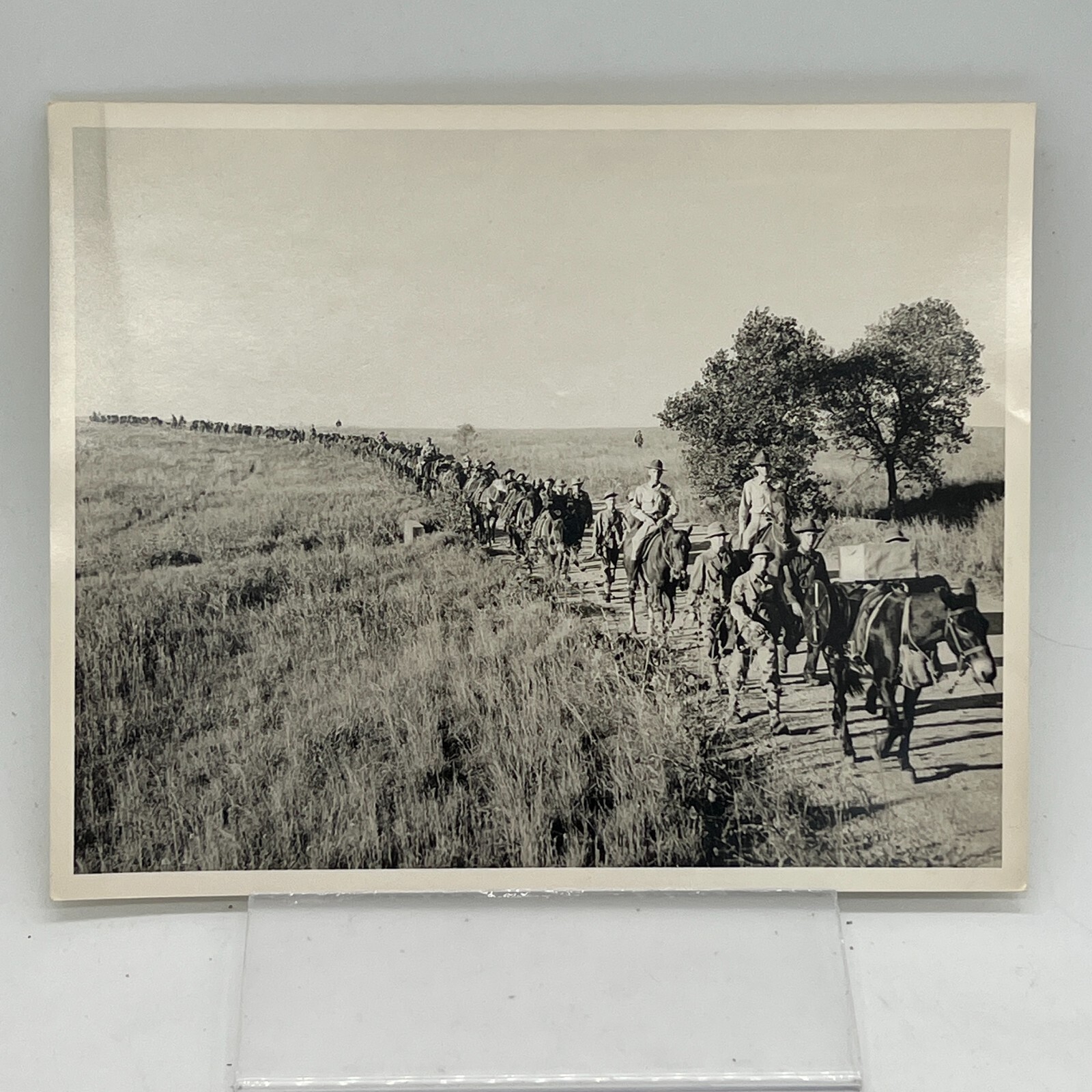 VTG WW1 Era Photo Fort Sill Oklahoma USA Mounted Infantry Militaria Horses 8x10