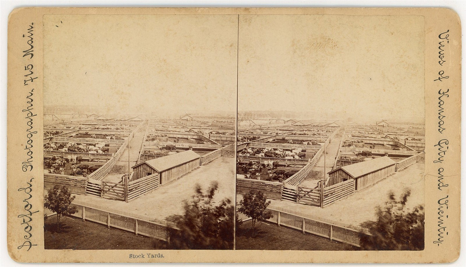 MISSOURI STEREOVIEW - Kansas City - Stock Yards - JH Scotford 1880s