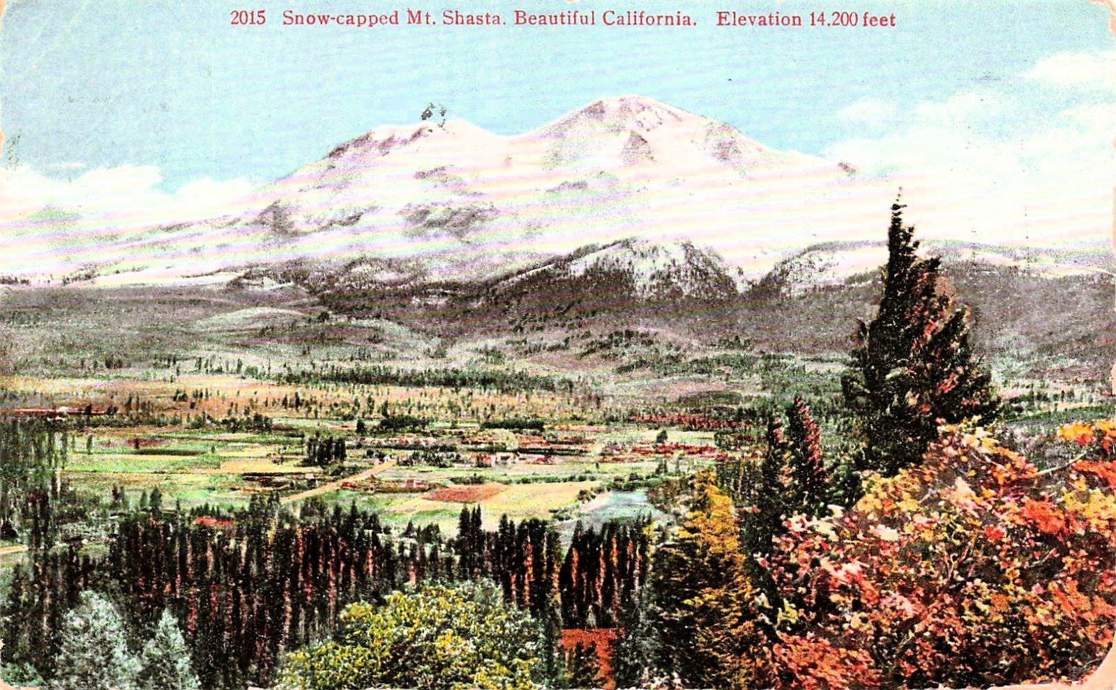 Mt Mount Shasta California Road of a Thousand Wonders Vtg Postcard 14A
