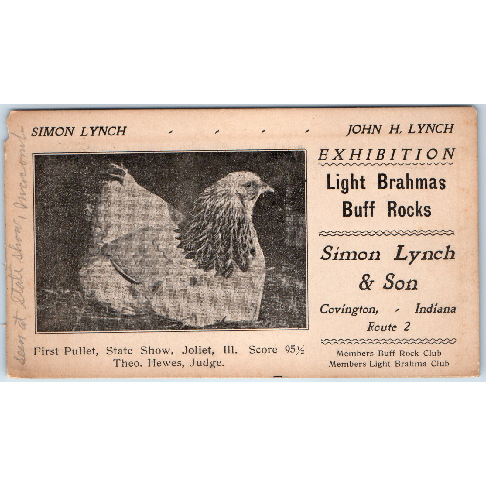 Vtg Simon Lynch Covington IN Poultry Breeder Card Chicken Light Brahma Buff Rock Vtg Simon Lynch Covington IN Poultry Breeder Card Chicken Light Brahma Buff Rock