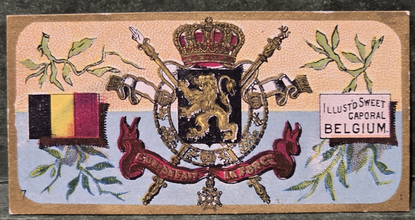 1886 KINNEY N224 #613, SERIES-A, BELGIUM COAT OF ARMS (NEAR MINT)