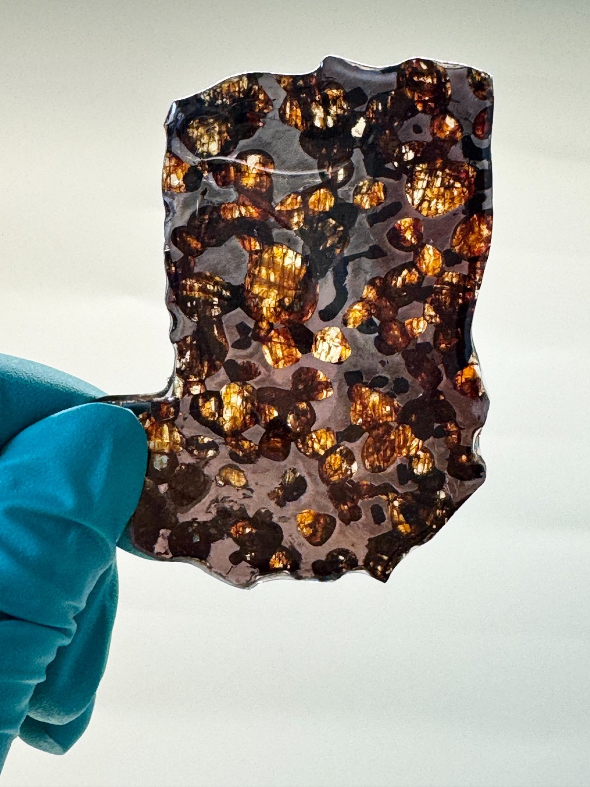 18.3g Sericho Pallasite Meteorite Slice From Kenya With A Certificate