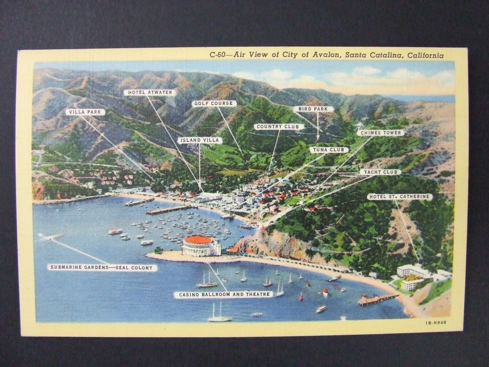 Avalon Santa Catalina California CA Aerial View Attractions Teich Postcard 1941