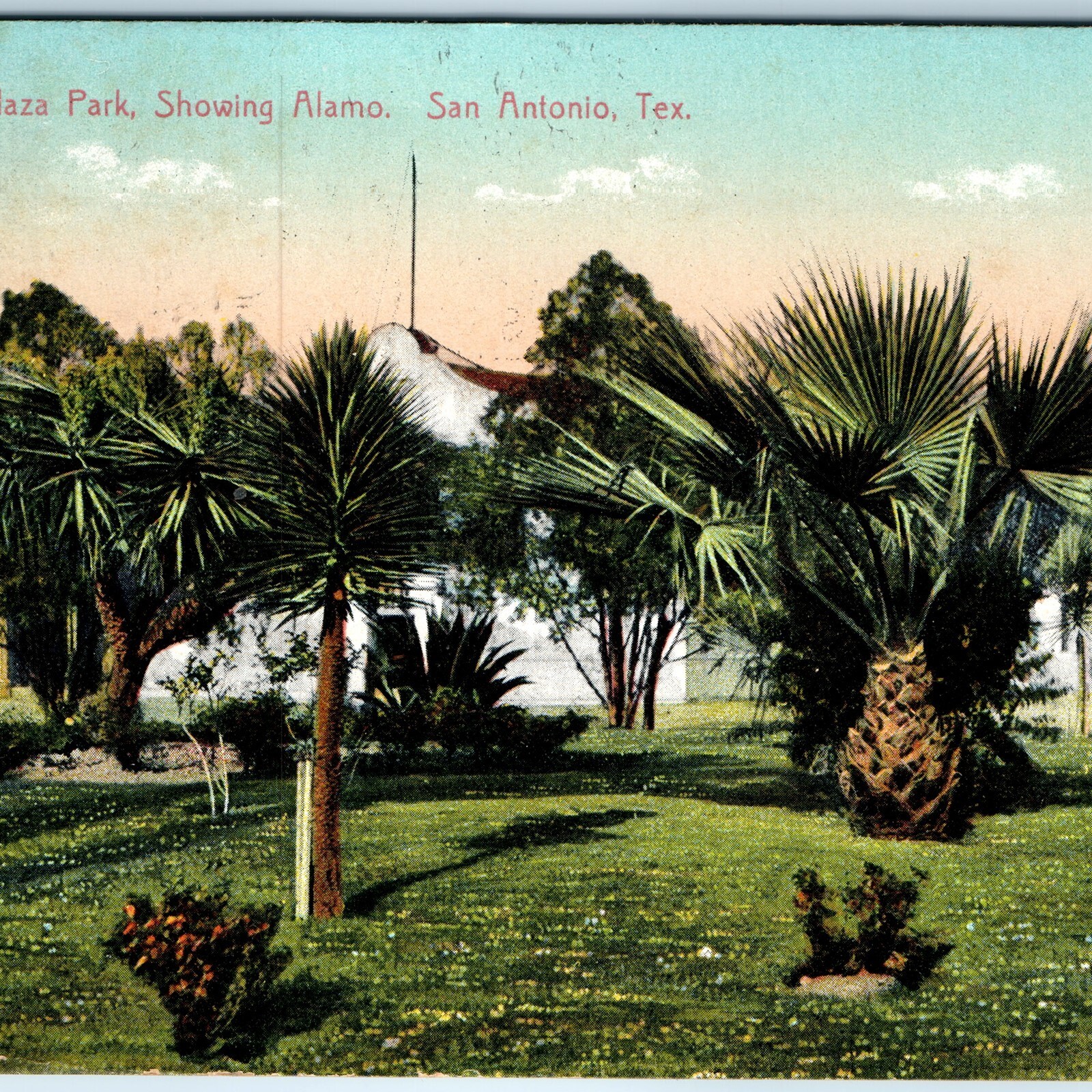1910 San Antonio, TX Alamo Plaza Park Palm Trees Postcard Geo M Bearce Litho 1910 San Antonio, TX Alamo Plaza Park Palm Trees Postcard Geo M Bearce Litho