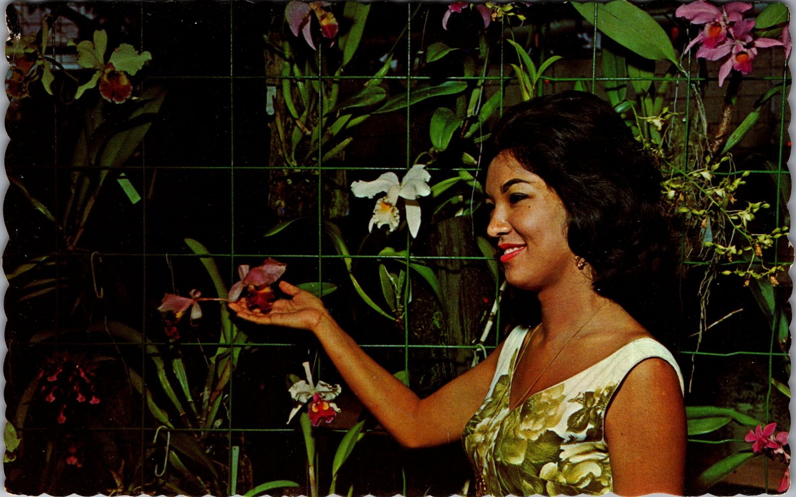Vintage Caribbean Tropical Orchids Woman Postcard Dexter Press