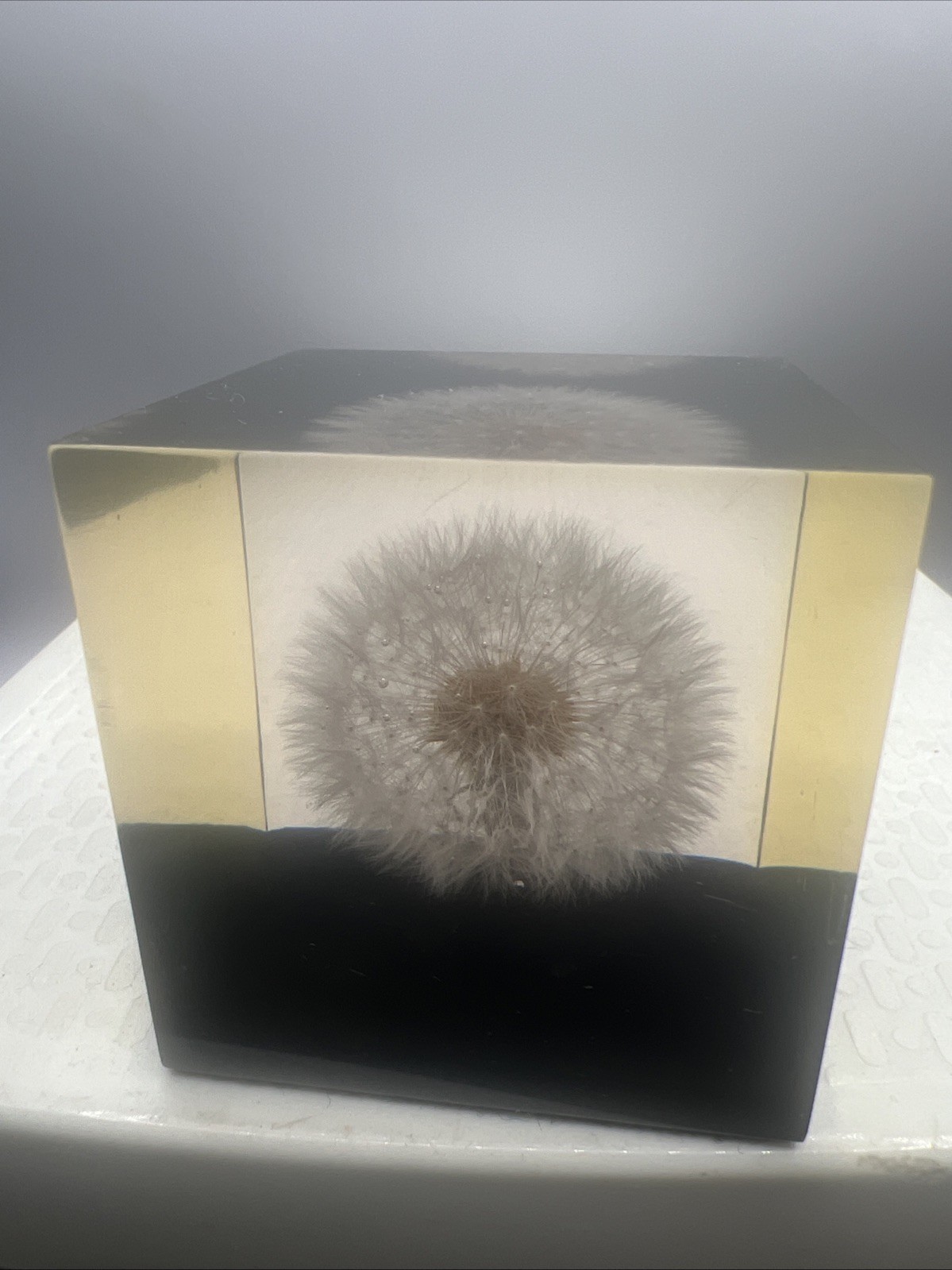 1960s Dandelion Resin Art Paperweight Vintage MCM Shoreline Products 2” Square