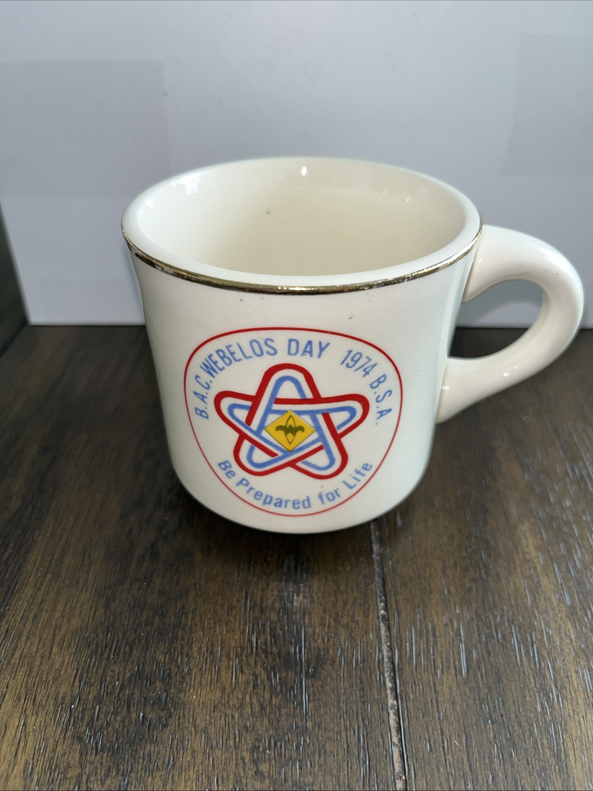 BSA 1974 Boy Scouts of America: B.A.C. WEBELOS DAY Coffee Mug USA