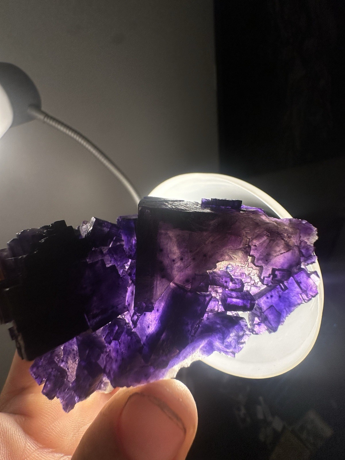 Large Purple Cubic Fluorite Cluster With Phantoms From Minerva 1 Mine Illinois Large Purple Cubic Fluorite Cluster With Phantoms From Minerva 1 Mine Illinois