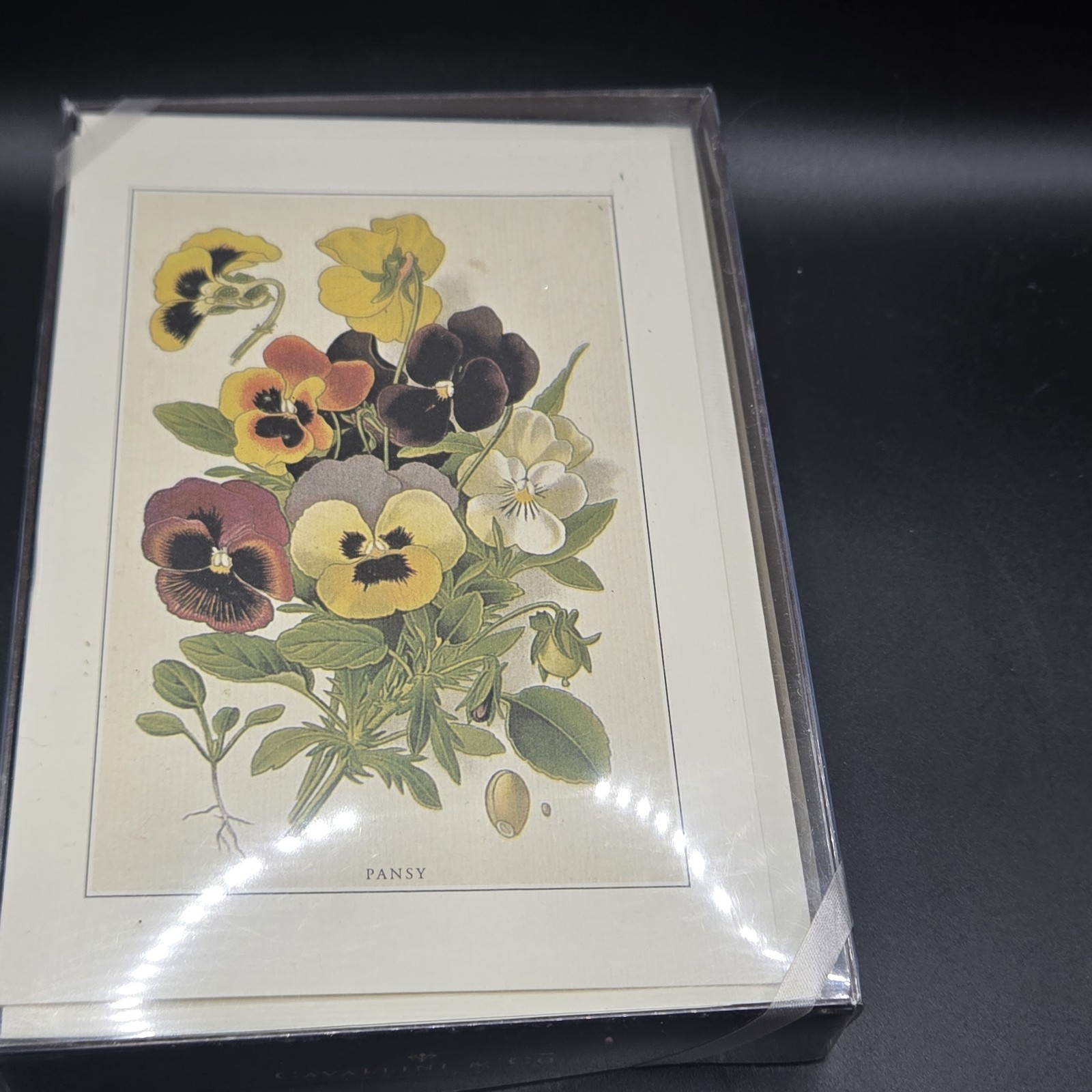 Vintage floral cards, Set of 10 Botanical illustrations, Flowers Pansy 