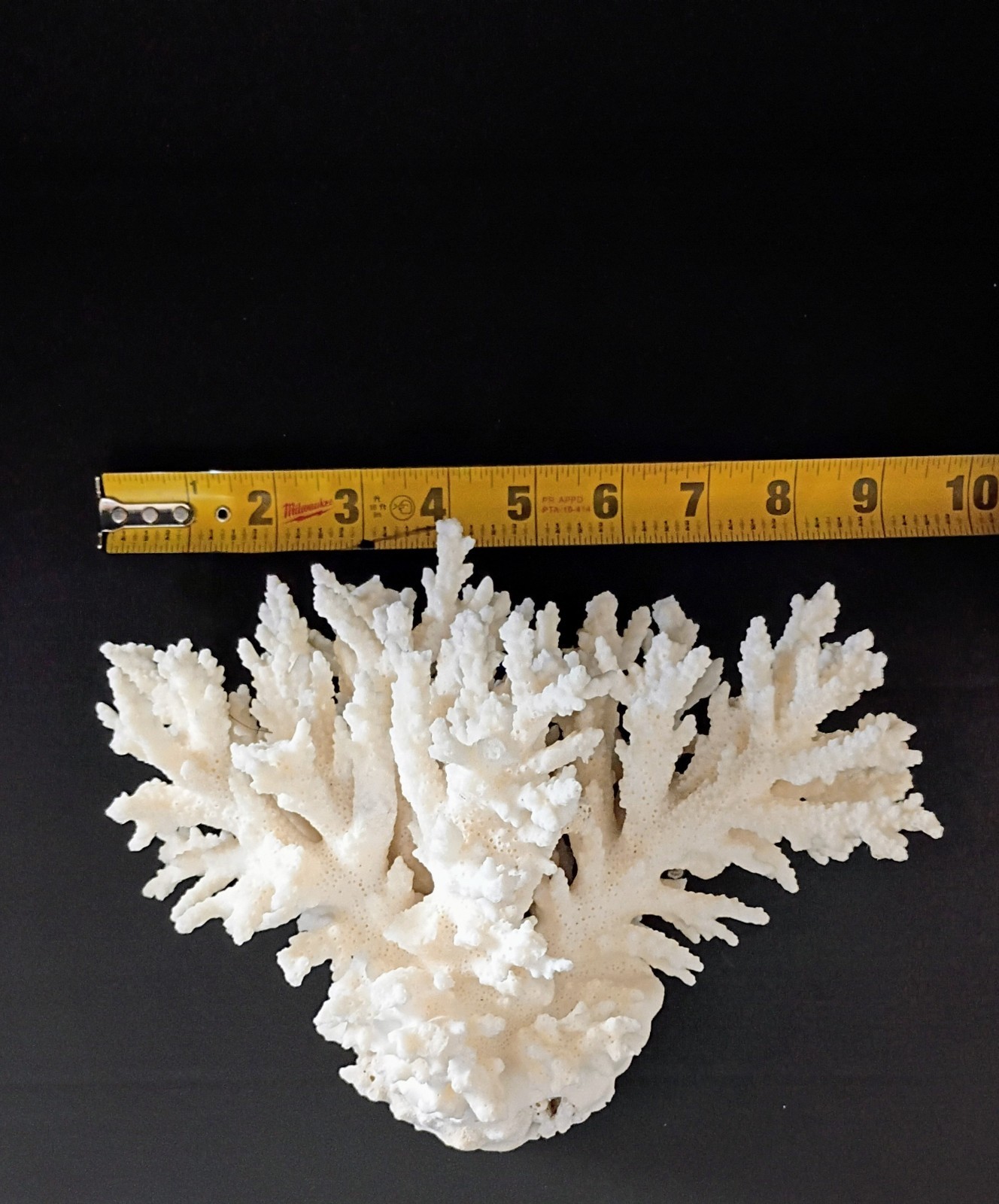 VTG Natural Coral Home Decor Aquarium