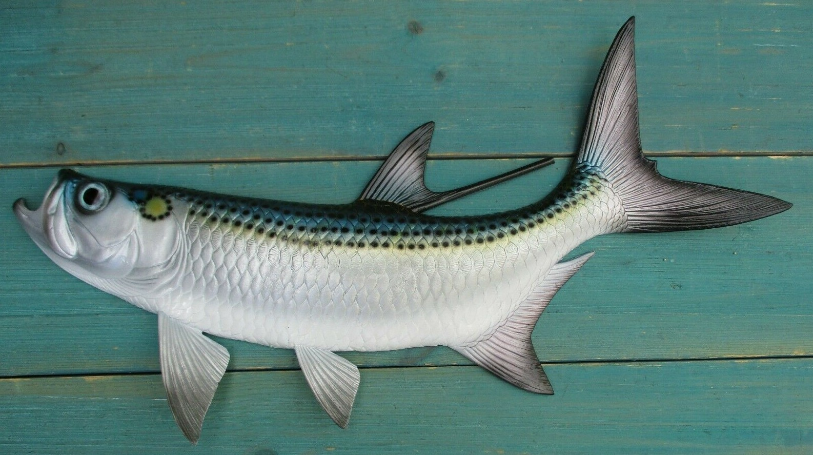 Tarpon Hand Painted 19\