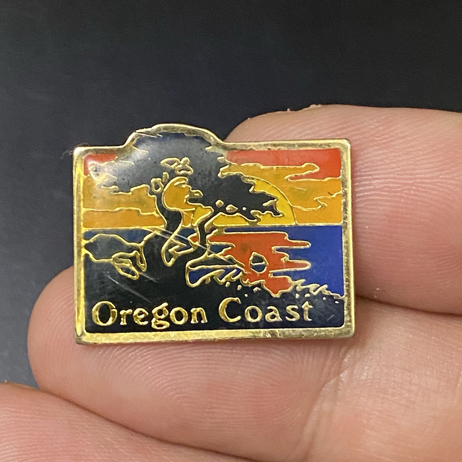Vtg Oregon Coast Lapel Pin Souvenir 