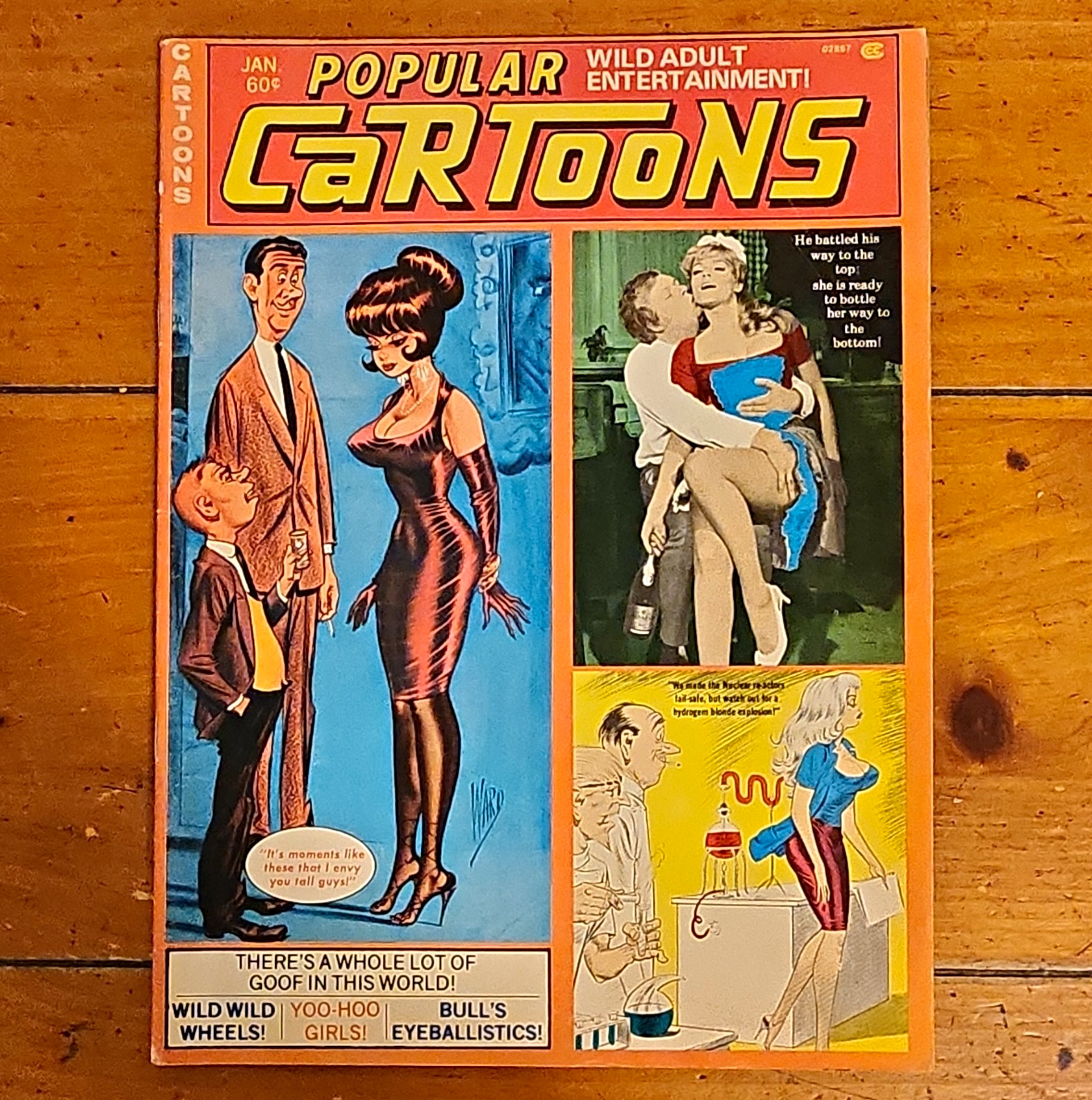 POPULAR CARTOONS Jan 1977 Vintage Adult Gag Magazine BILL WARD Art PUSSYCAT