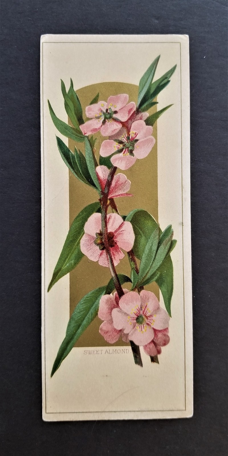1880s antique GILCHRIST DRY GOODS boston ma store victorian trade card ad