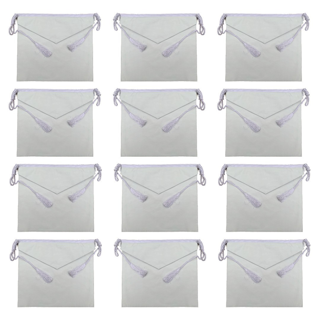 MASONIC CANDIDATE / ENTERED APPRENTICE 100%- LAMBSKIN  SET OF 12 pieces WHITE
