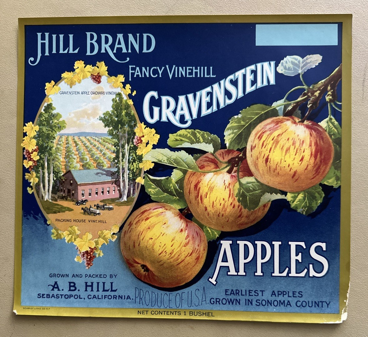 Vintage Hill Brand Gravenstein Apples Crate Box Label Craft Scrapbook Collage