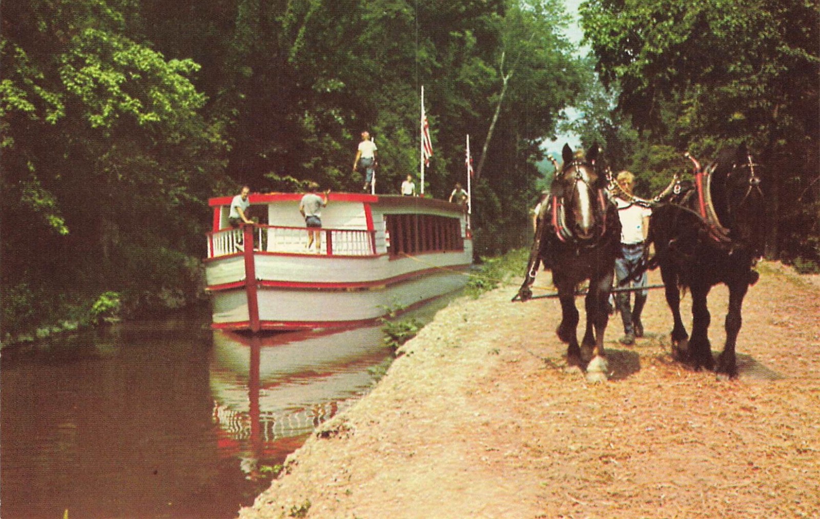 Coshocton Ohio OH Erie Canal Boat Monticello II Pulled with Horses 1960 Postcard