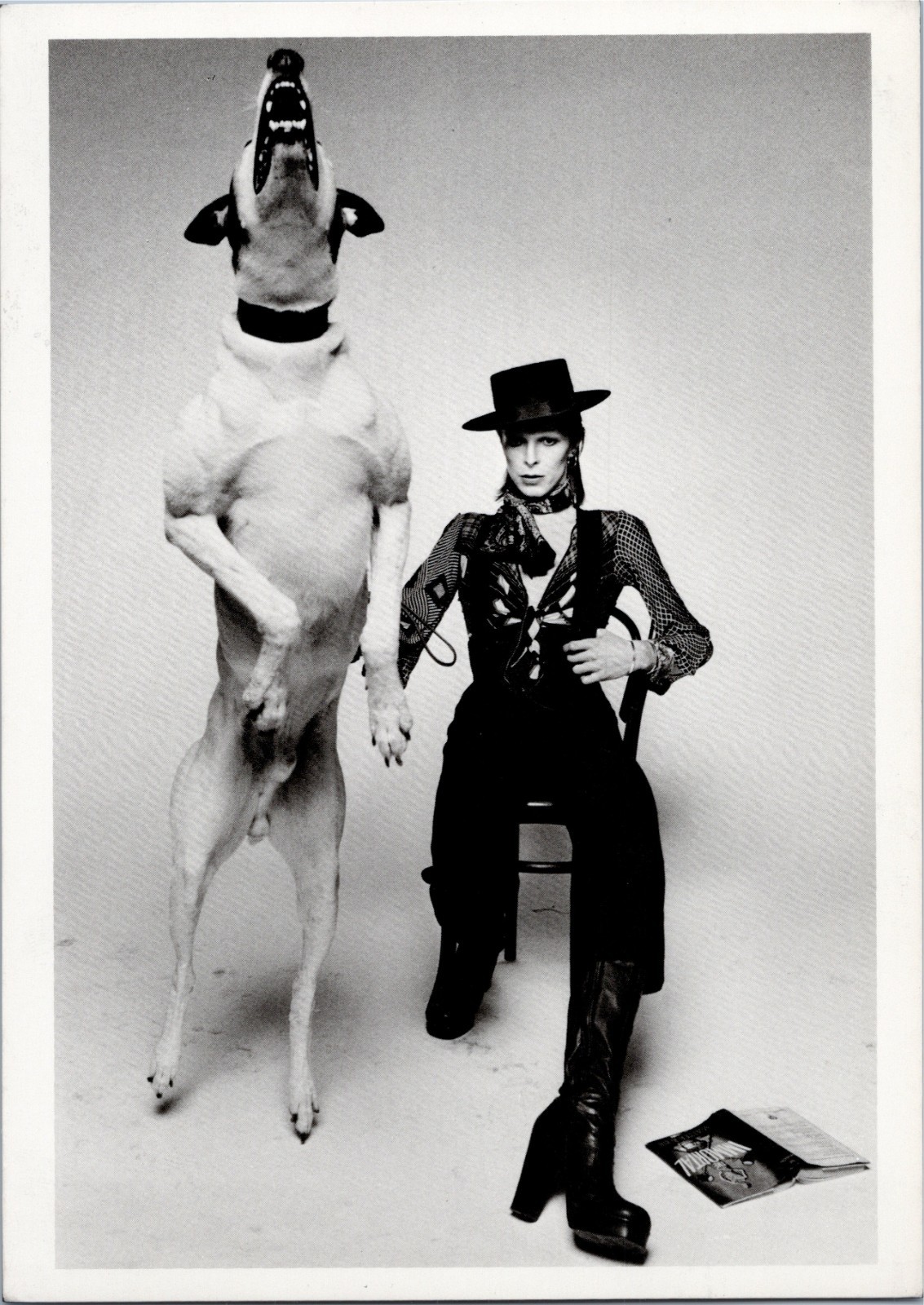 Postcard Fotofolio Rock Postcards David Bowie P254