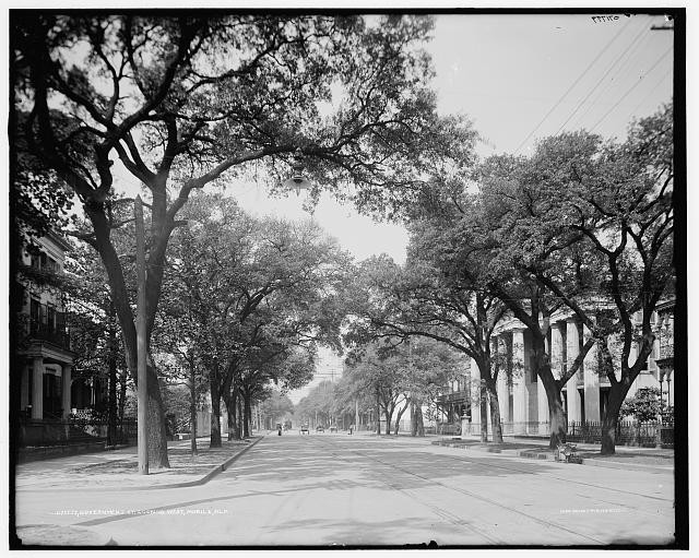 Photo:Mobile Alabama Government St 1900s Residential Street Trees