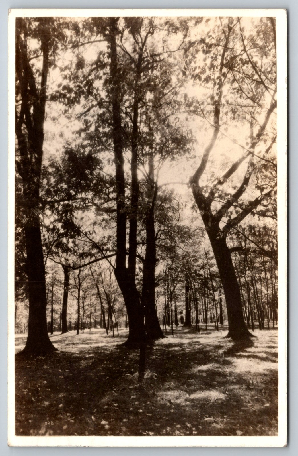 Oxford Ohio Miami University 1941 Photo Postcard Sunrise Lower Campus View
