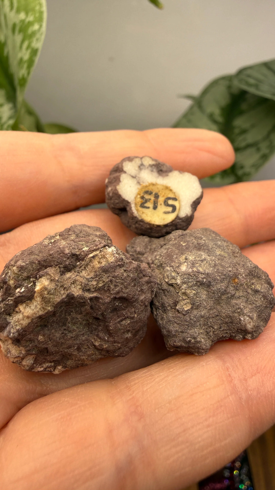 Datolite Nodules- Delaware Mine, Keweenaw County, Michigan Datolite Nodules- Delaware Mine, Keweenaw County, Michigan