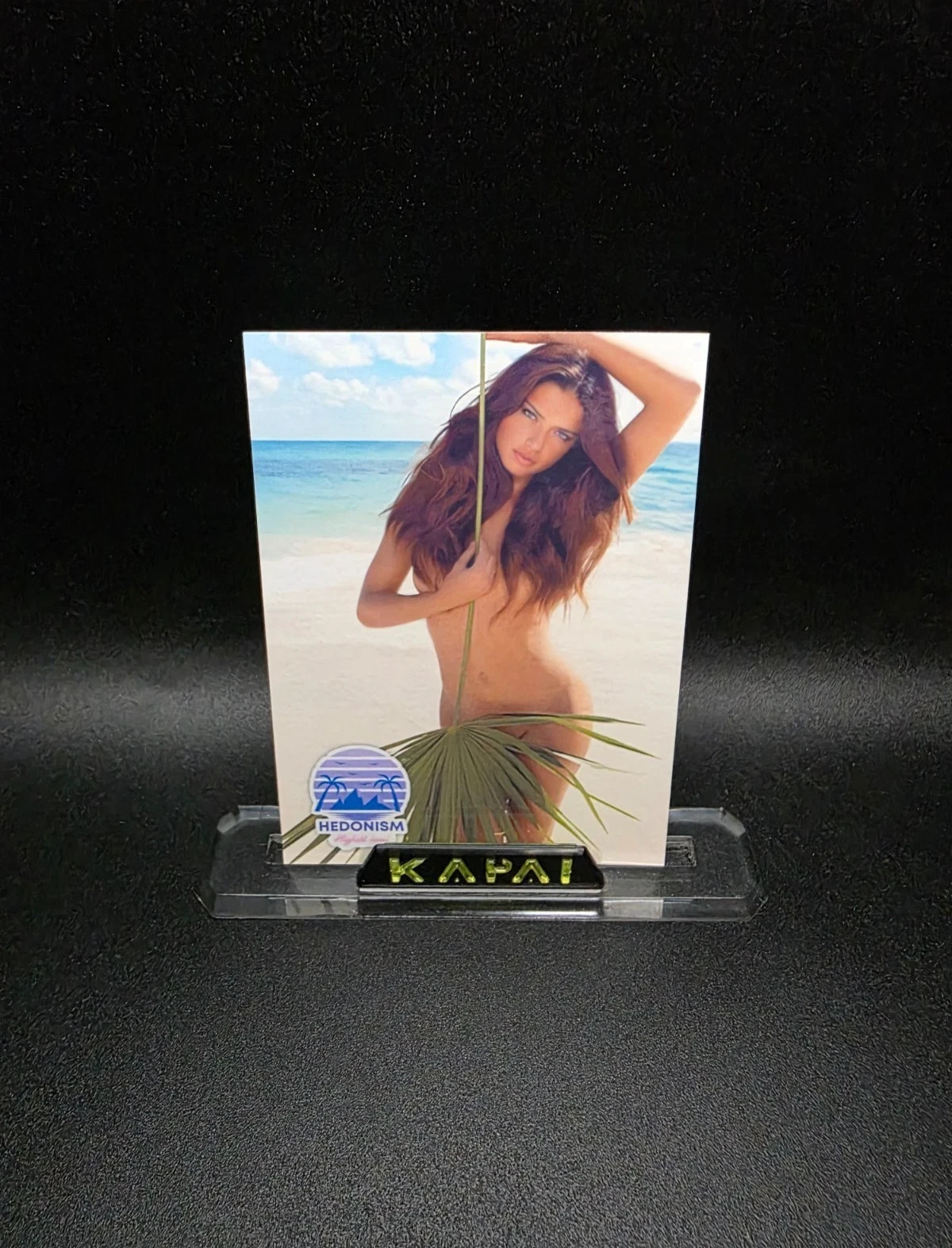 Adriana Lima #3 Hedonism Series eXcess Collectibles Custom Card