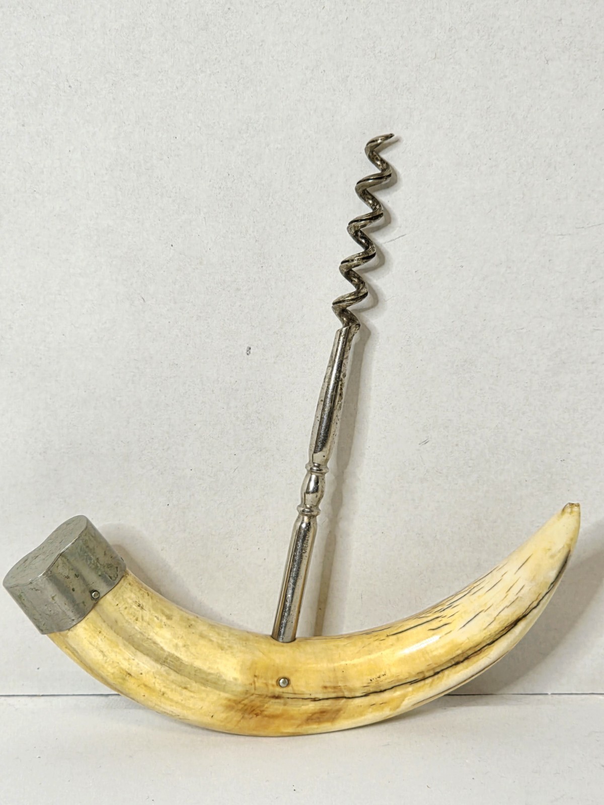 Antique German 19th Century Boars Tusk & Sterling Endcap Corkscrew  