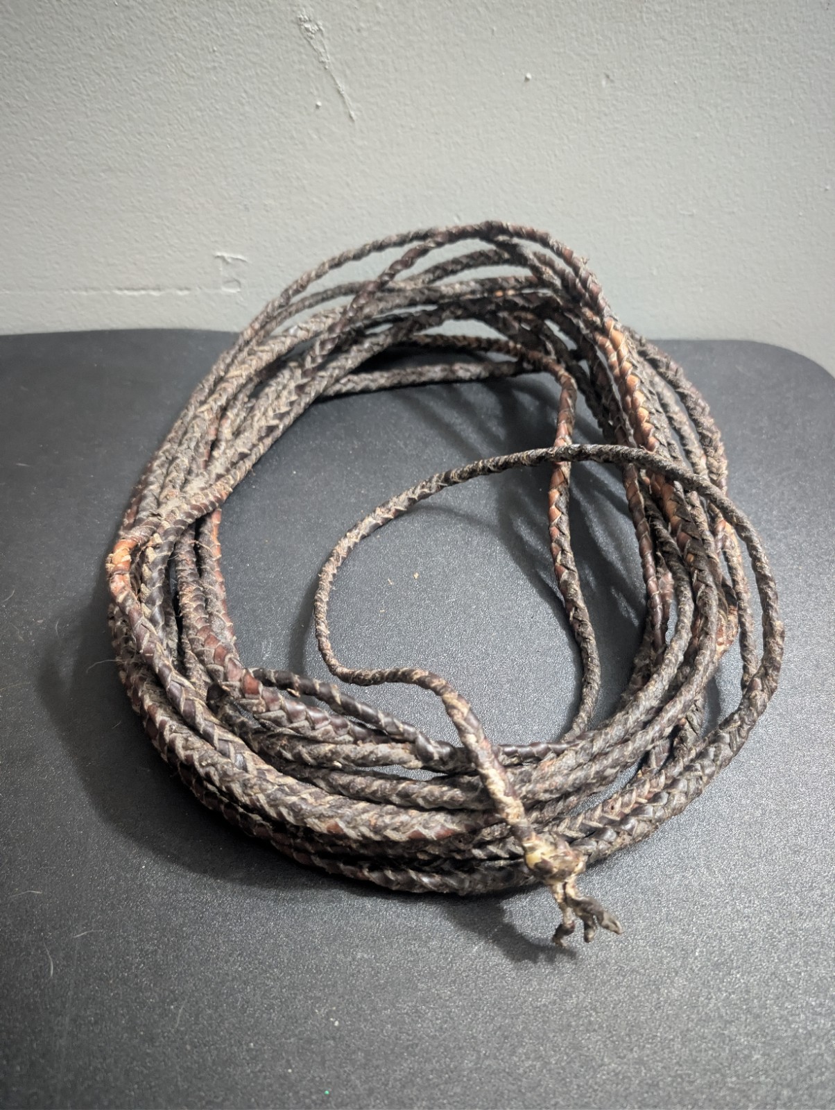 Vintage Rawhide Leather Riata Lariat Lasso 30 ft Handcrafted Vintage Rawhide Leather Riata Lariat Lasso 30 ft Handcrafted