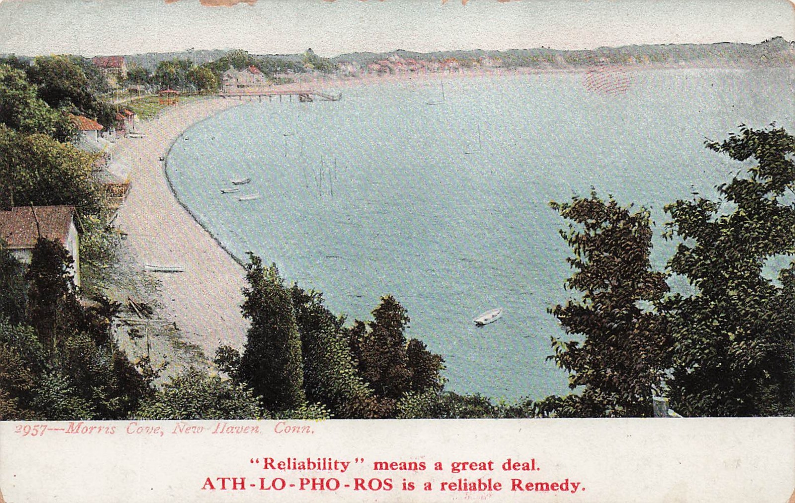 New Haven CT Connecticut Morris Cove Ath-Lo-Pho-Ros Advertising Vtg Postcard 19A
