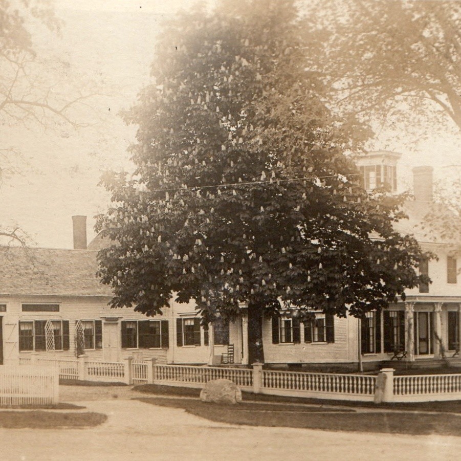 c1900s Grand Colonial Homestead Residence Picket Fence Horse Chestnut Tree RPPC