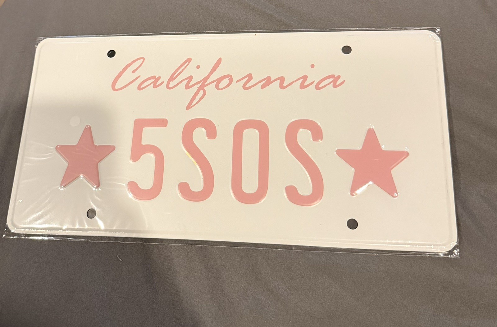 5 Seconds Of Summer 5SOS Los Angeles License Plate Everyone’s A Star Tour