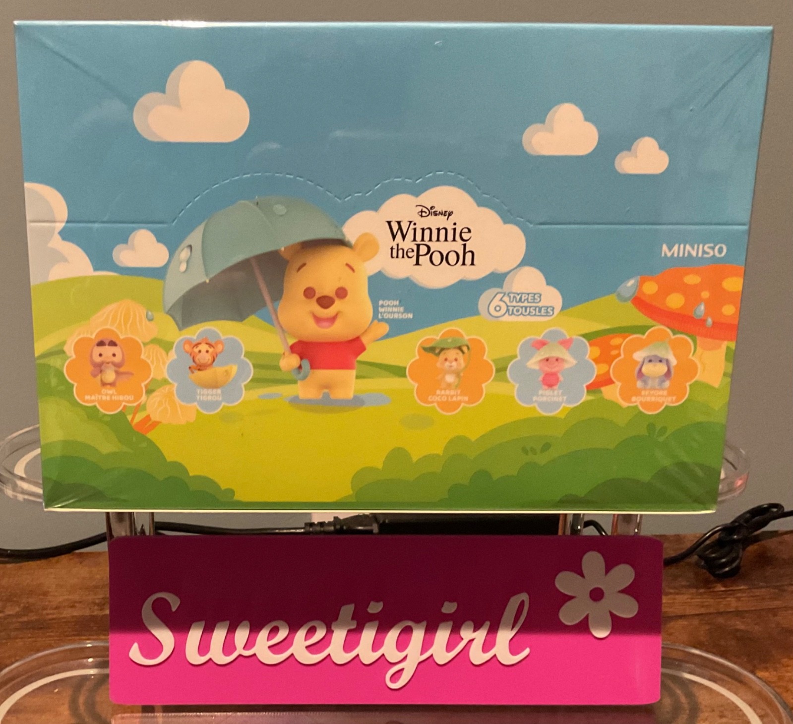 New Sealed, MINISO Disney Winnie the Pooh Rainy Season Full Box Set #317