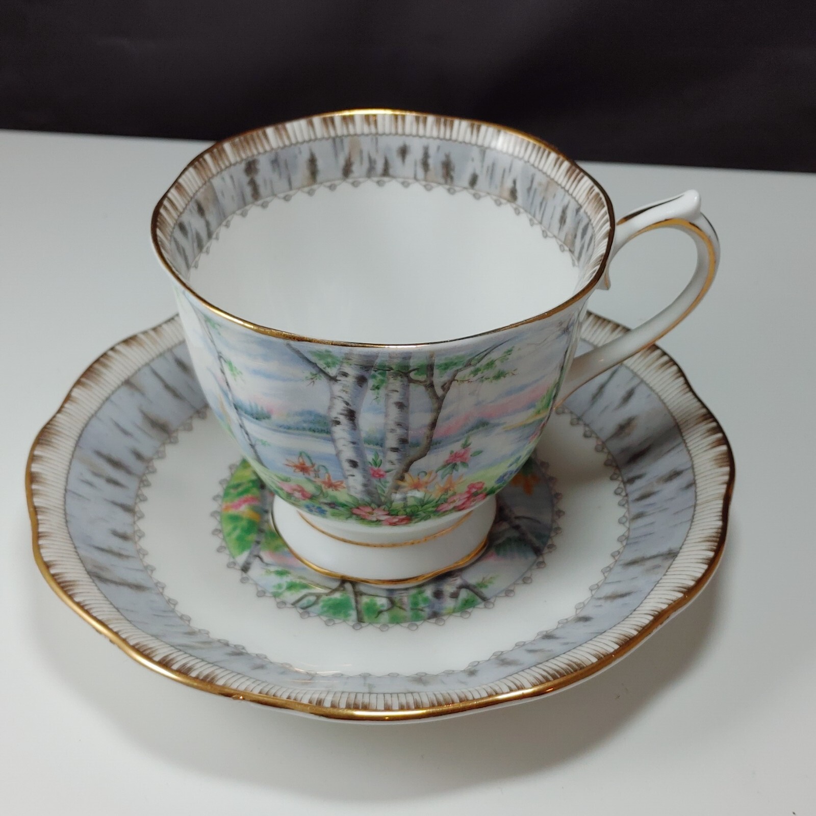 Vtg Royal Albert Silver Birch Footed Tea Cup & Saucer Set Bone China Gold Gilded