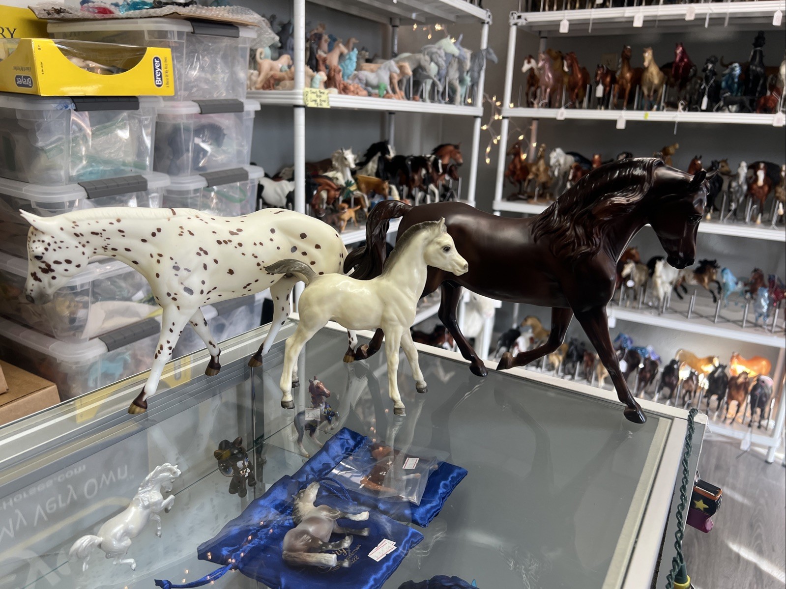 Breyer Lot Of 3 Traditional Bodies Customizing Ricky Rocker FAF Morganquest