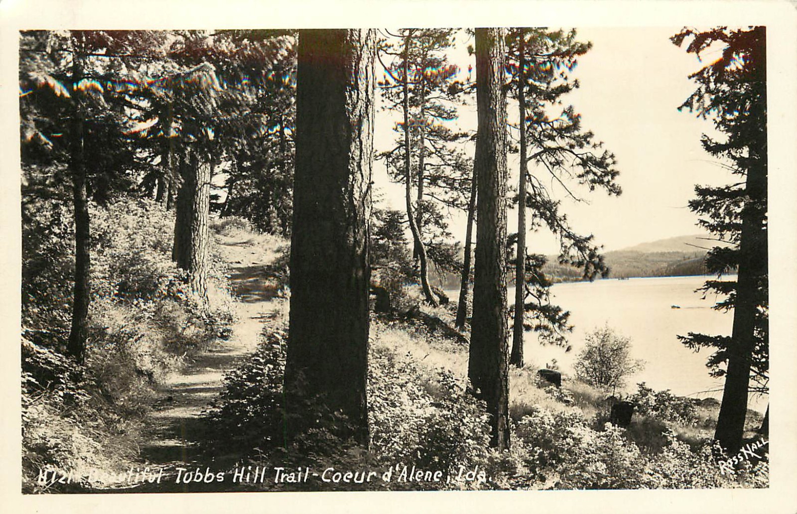 RPPC Postcard Tubbs Hill Trail Coeur d\'Alene ID Ross Hall H121 Unposted