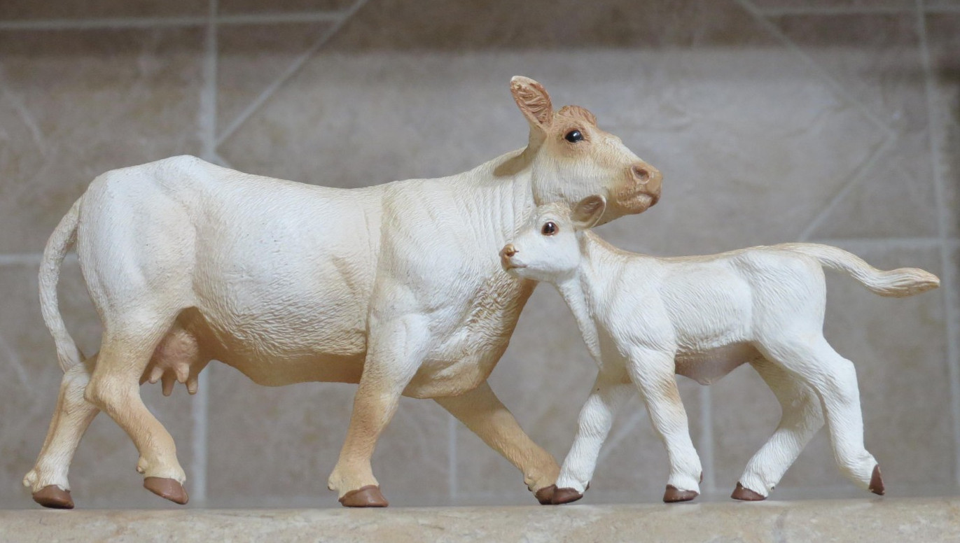 retired Lot of 2 Safari LTD 2 Charolias Cows calf white cattle beef farm toys