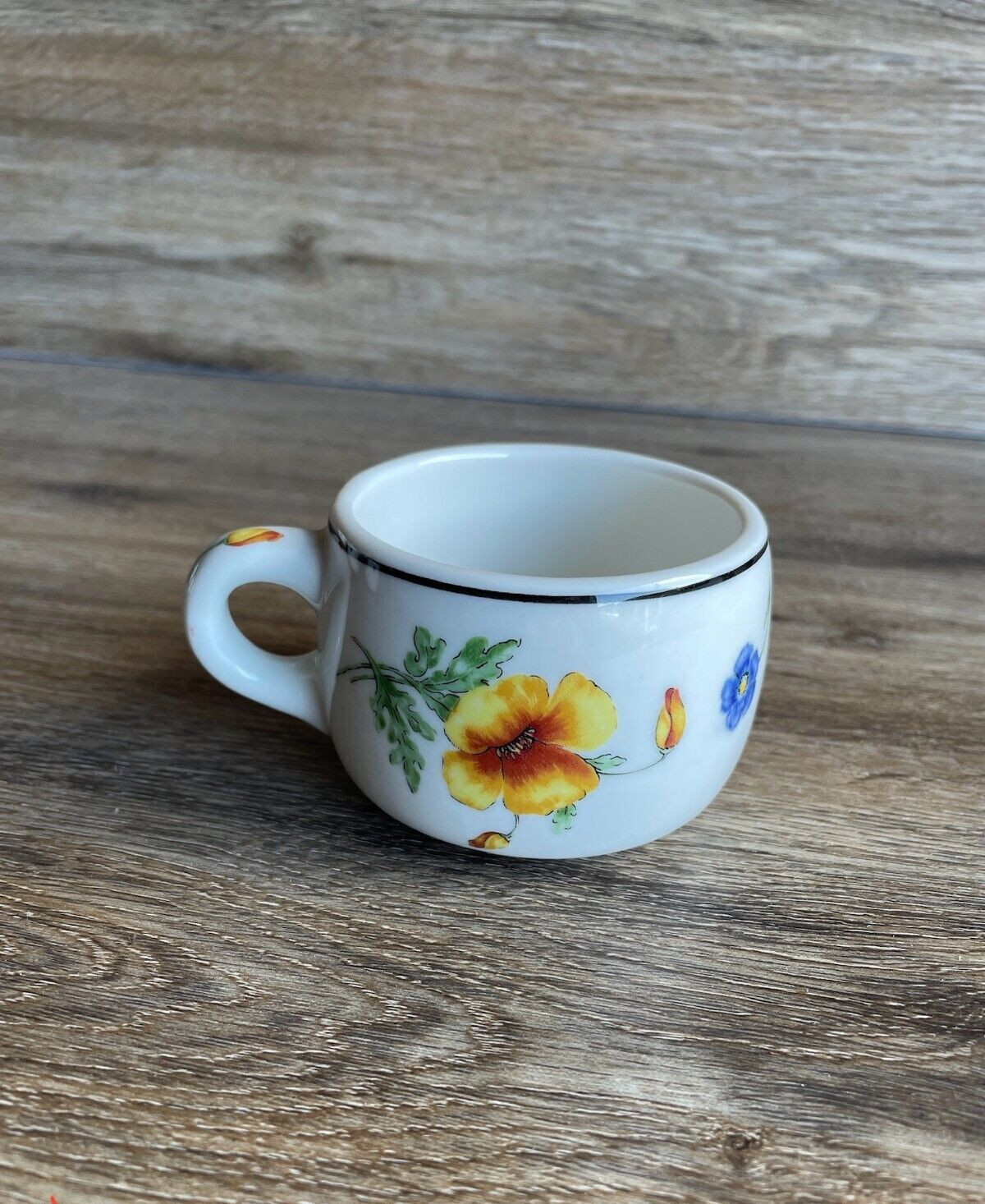Vintage Southern Pacific Prairie Mountain Wildflowers Onondaga O.P. Co. Mug Cup