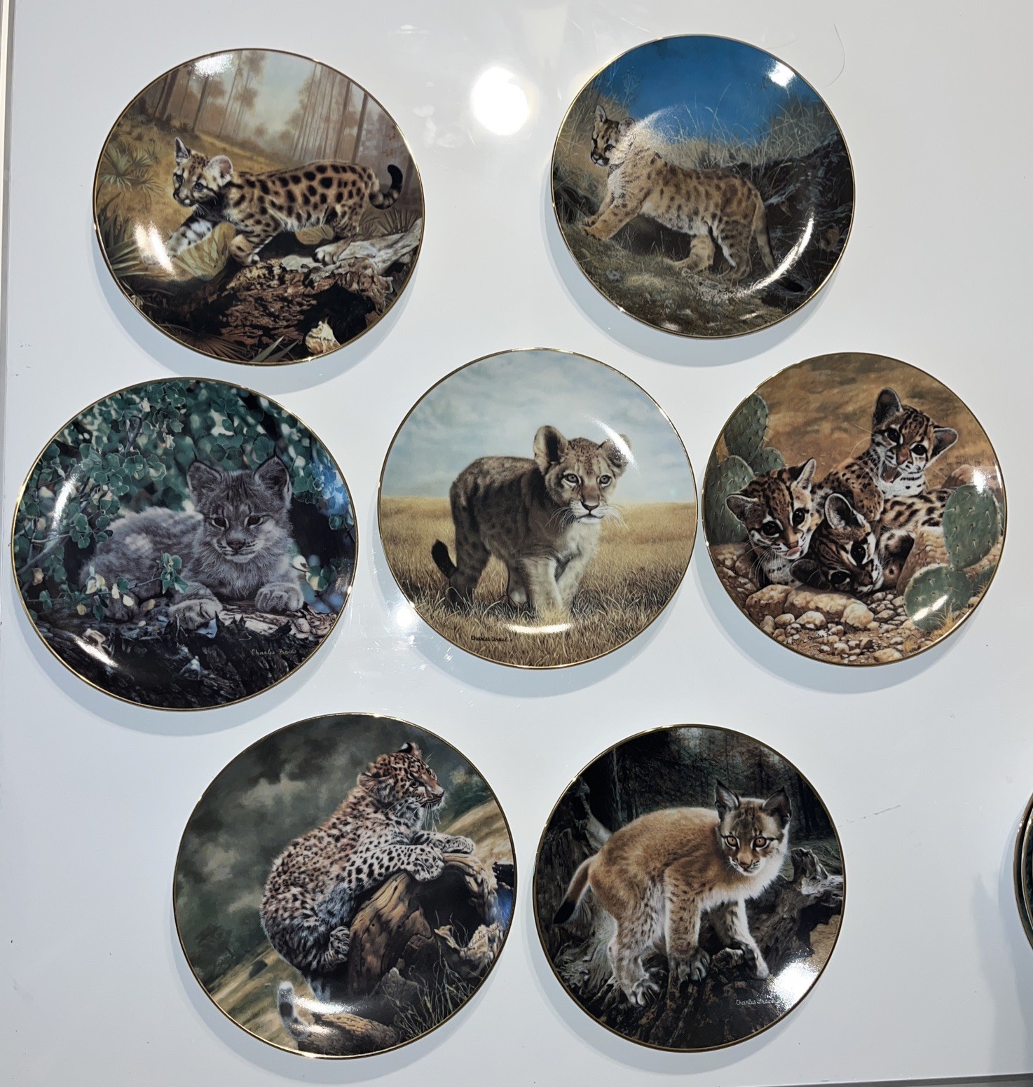 🐾 Charles Fracé – “Small Wonders of the Wild” 7-Plate Collector Set 8.5”