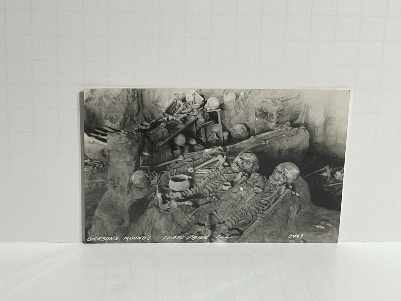 RPPC Dickson’s Mounds State Park Illinois IL Skeleton Archeological L.L. Cook