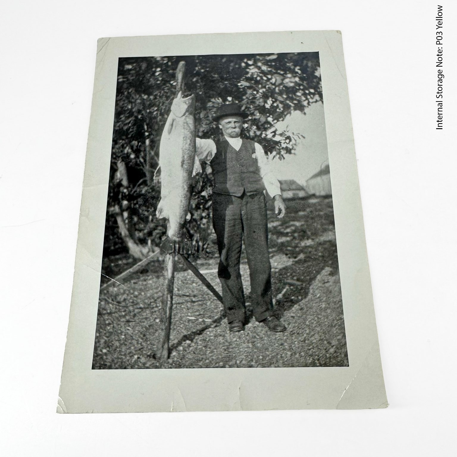 Vtg 1900s Man Holding GIANT Pike Fish Catch Black & White Photograph Fishing