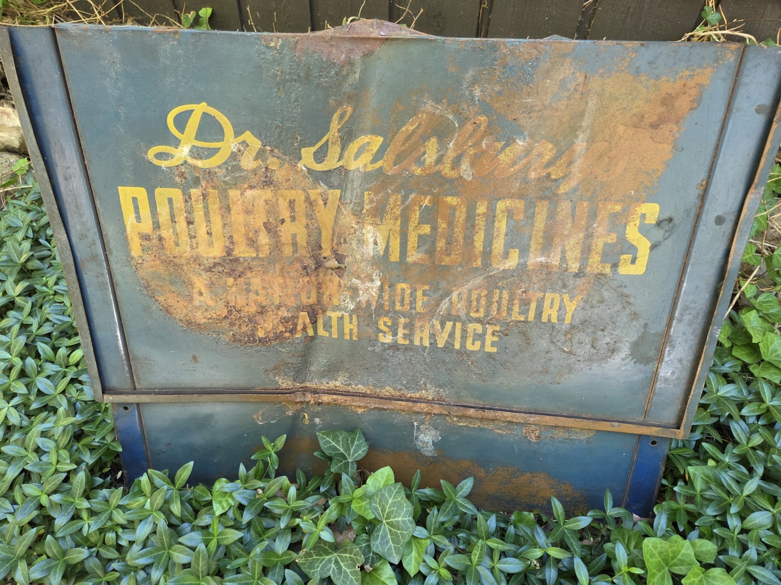 TRUE Vtg Dr Salsbury Poultry Medicines Metal Sign/ Farm Health Services 27x22