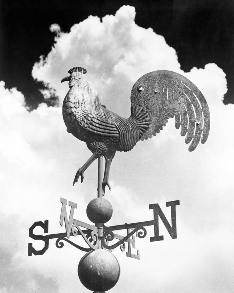 Vintage Retro Weathervane Farm Rustic 1950s Matte Photo Reprint 8\