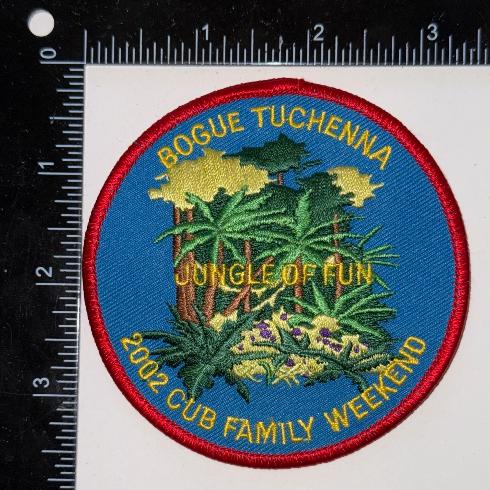 Vintage BSA 2002 Cub Family Weekend Jungle of Fun Bogue Tuchenna District Patch