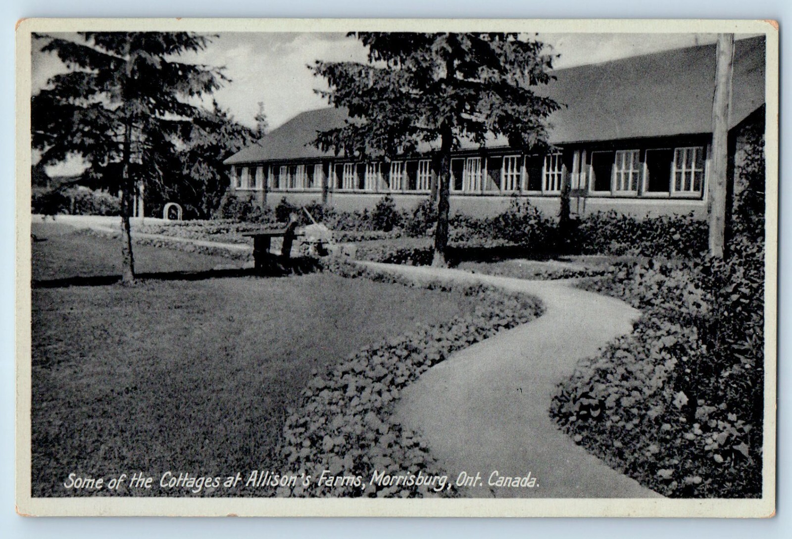 Morrisburg Ontario Canada Postcard Some Of The Cottages At Allison's Farms c1910 Morrisburg Ontario Canada Postcard Some Of The Cottages At Allison's Farms c1910