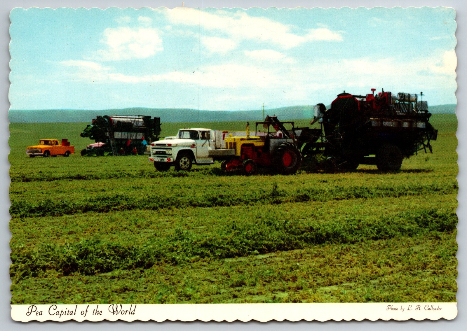 Pea Capital of the World Milton Freewater Oregon Harvesting Peas 6x4  Postcard