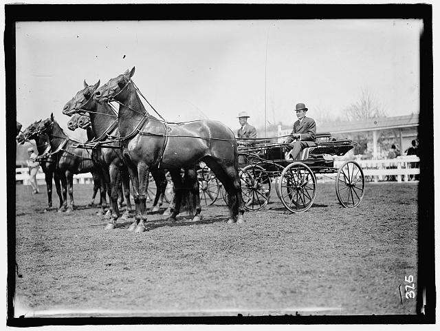 Photo:HORSE SHOWS. TEAMS
