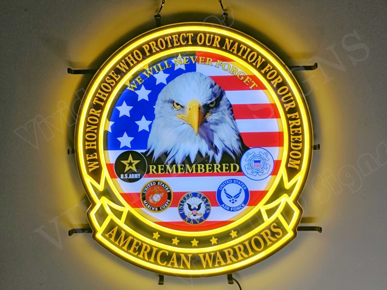 Bald Eagle American Flag Warrior 24