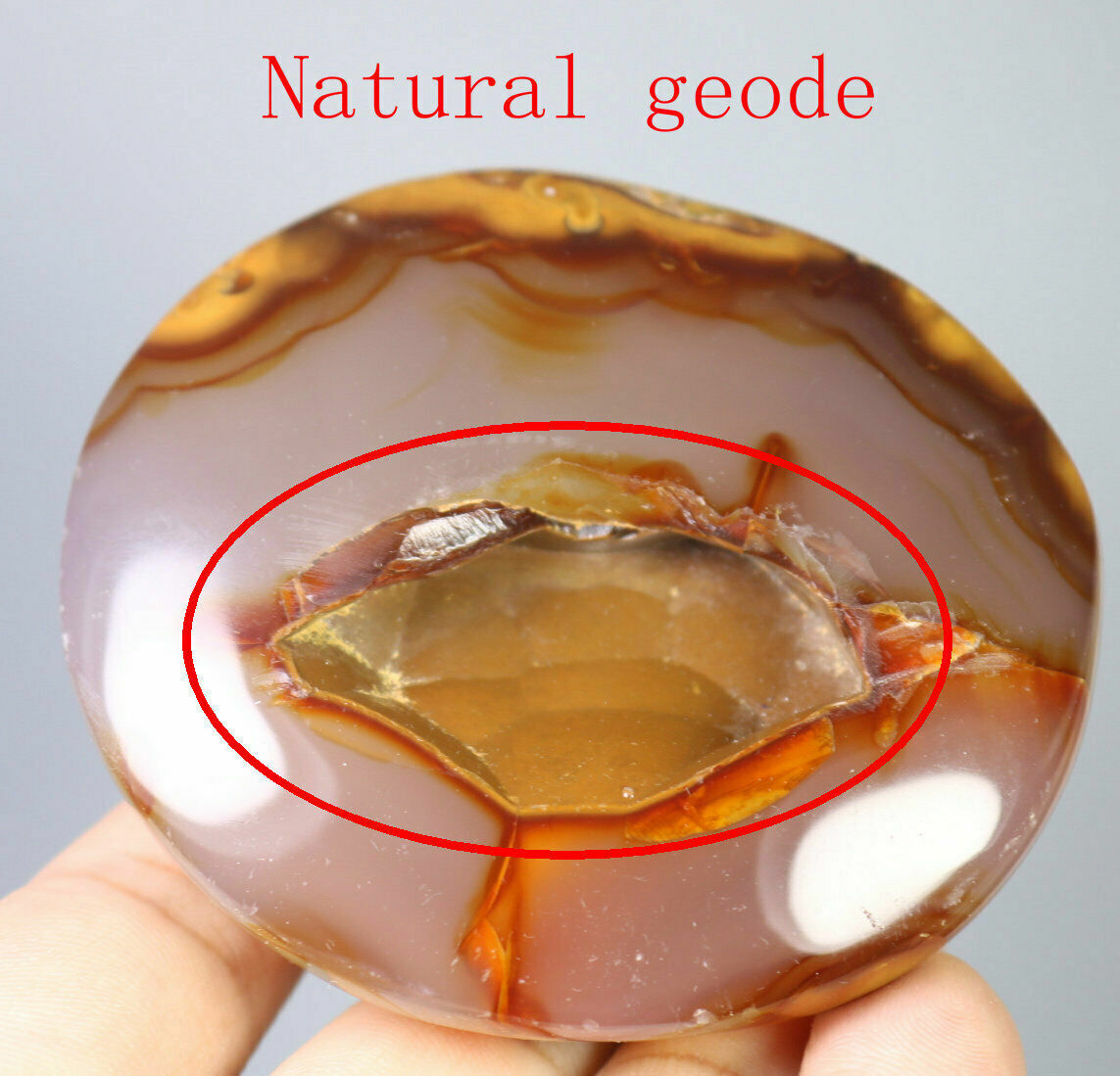 239g Natural Red Carnelian Agate Geode Quartz Crystal Agate Gem Stone Specimen