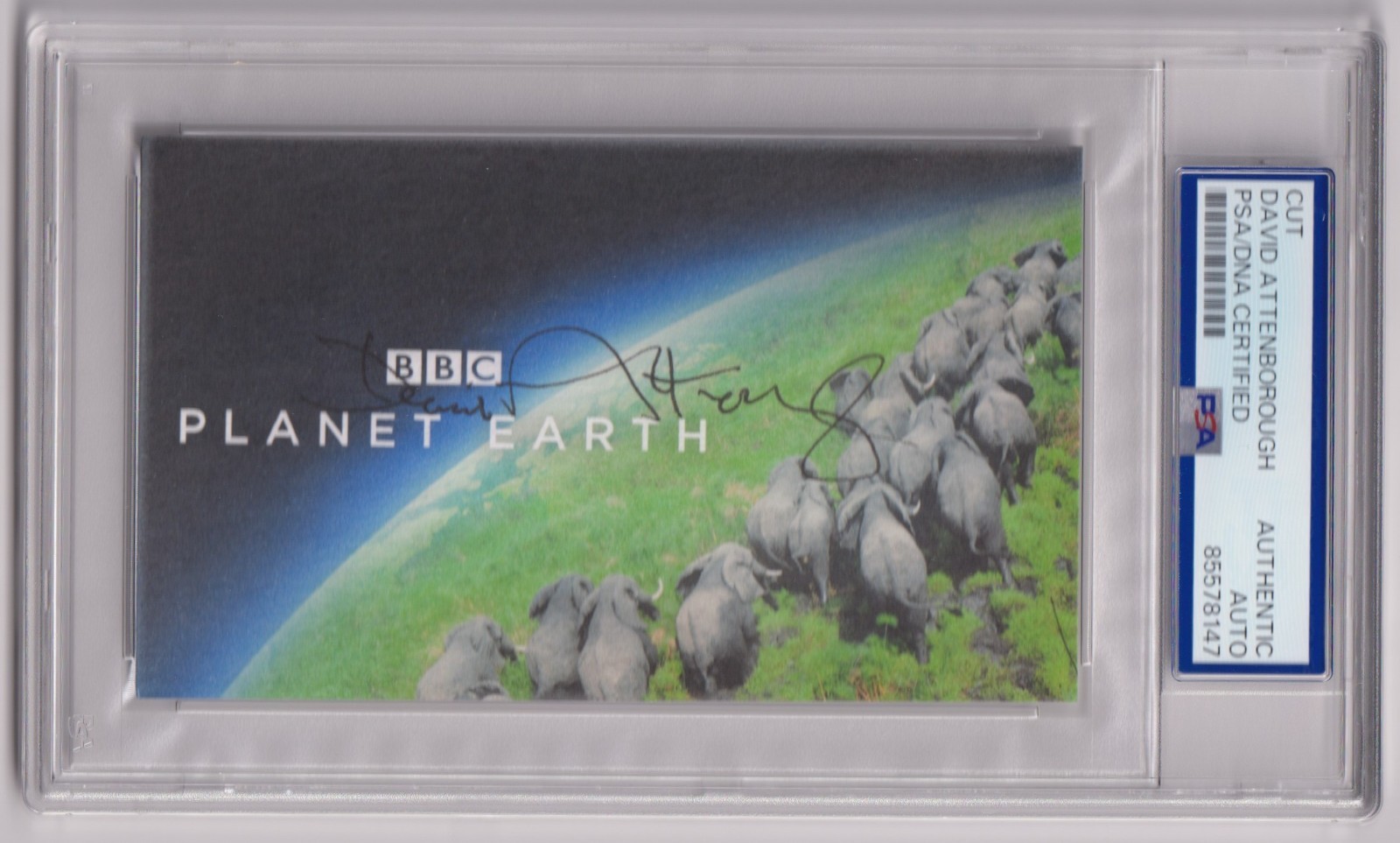 Sir DAVID ATTENBOROUGH Signed AUTO Planet Earth Art Card PSA DNA Certified